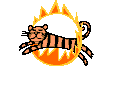 ringoffire.gif